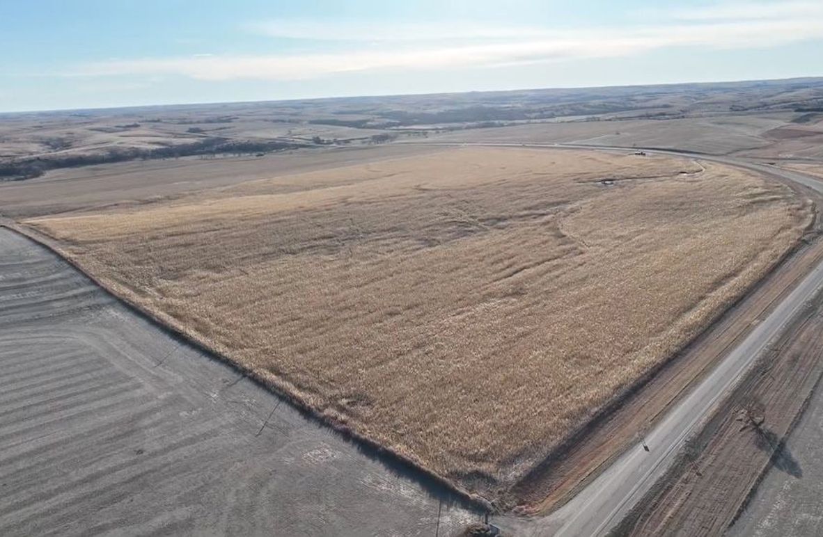 Screen Shot 2024-12-19 at 2.25.37 PM