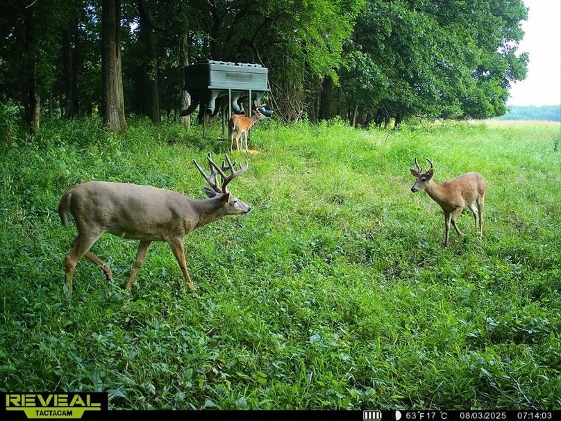 860322065946383-100-4-08032025152537-HD-SYEW0429