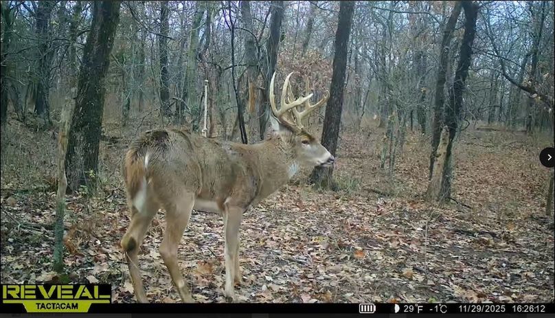 Screenshot_24-1-2026_83355_drive.google.com