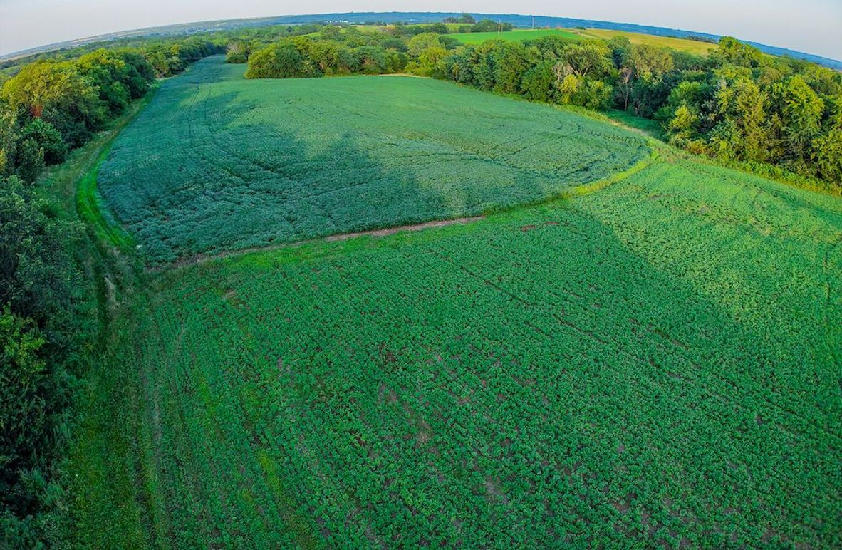 DJI_20250723193920_0356_D