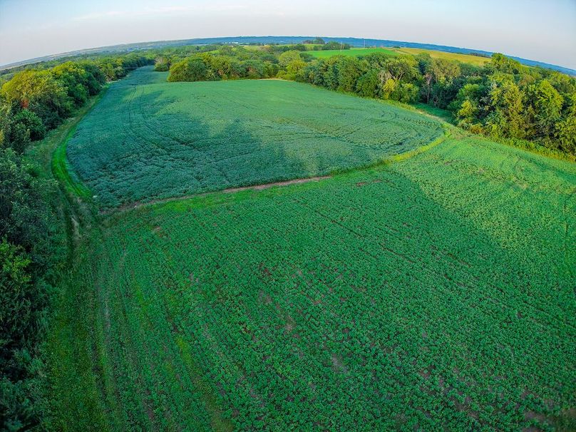 DJI_20250723193920_0356_D