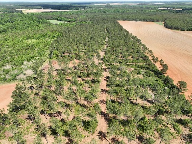 dji_fly_20260417_151548_512_1776455861048_photo