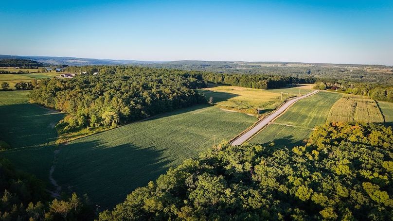 Copy of Wood Main Listing Photo 11