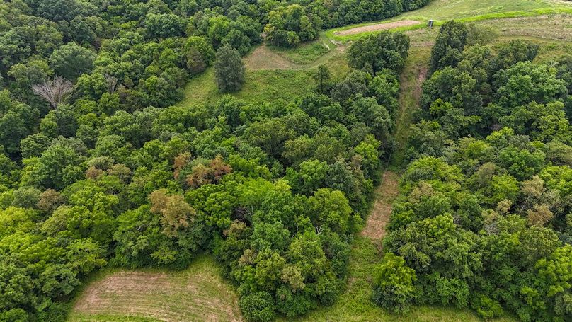 DJI_20240708123750_0004_D