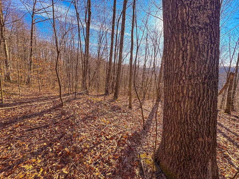 Lewis, WV 82.87 AC Barger-30