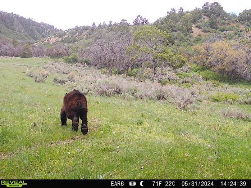 Copy of 868032066947726-80-3-05312024142438-W1004538