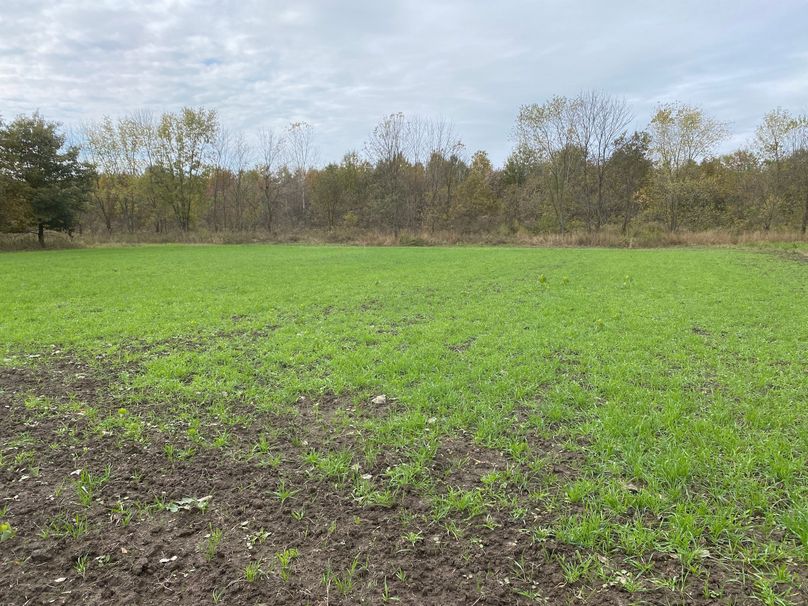 pics from late 2021 and early 2022. New plots being planted in Aug 2023 for new pics (42)