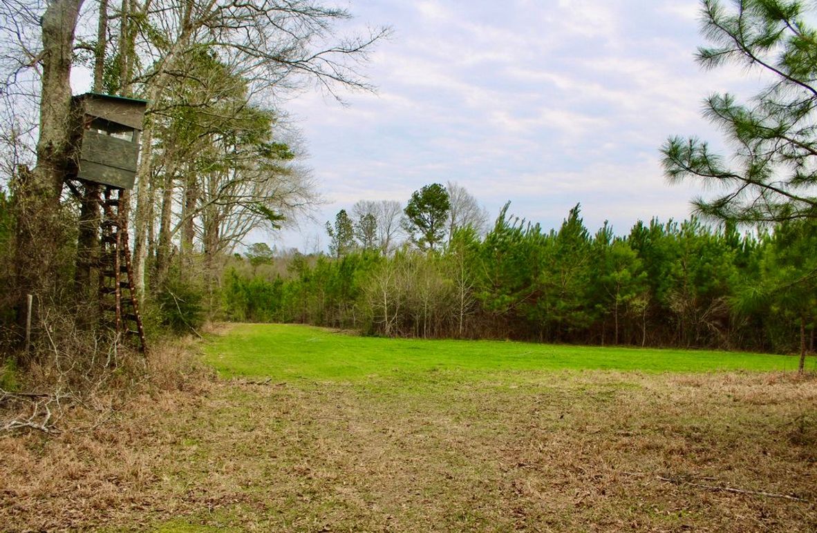 1FF9FDC8-16C2-4222-8248-7D006F530FC8_1_105_c