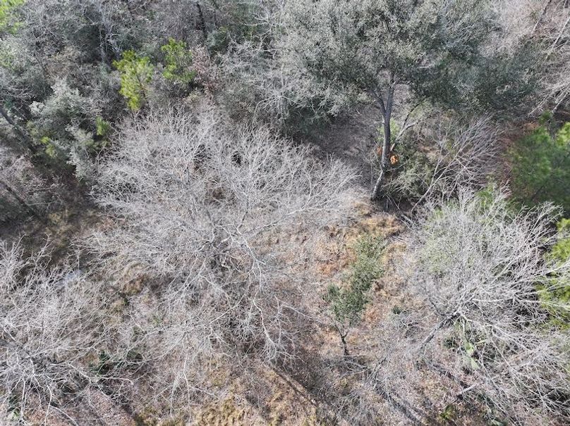 dji_fly_20260212_141234_0069_1771284238727_photo