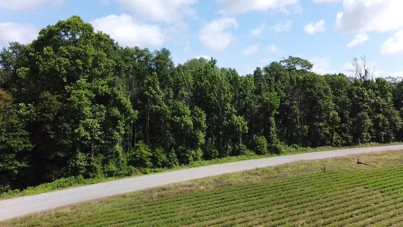 2024-06-01-10-27-54-561