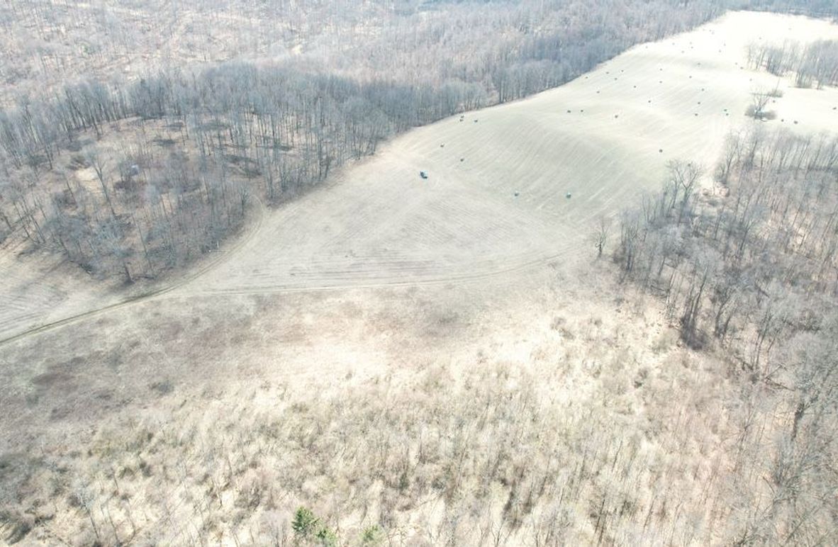 dji_fly_20250325_123602_47_1742920837051_photo