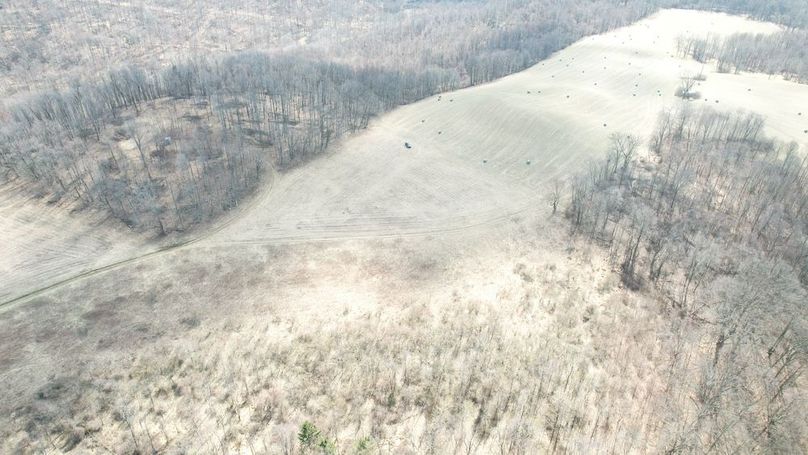 dji_fly_20250325_123602_47_1742920837051_photo