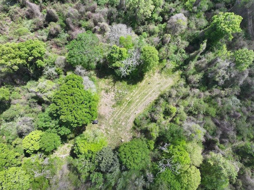 dji_fly_20260327_123454_0028_1776088025897_photo