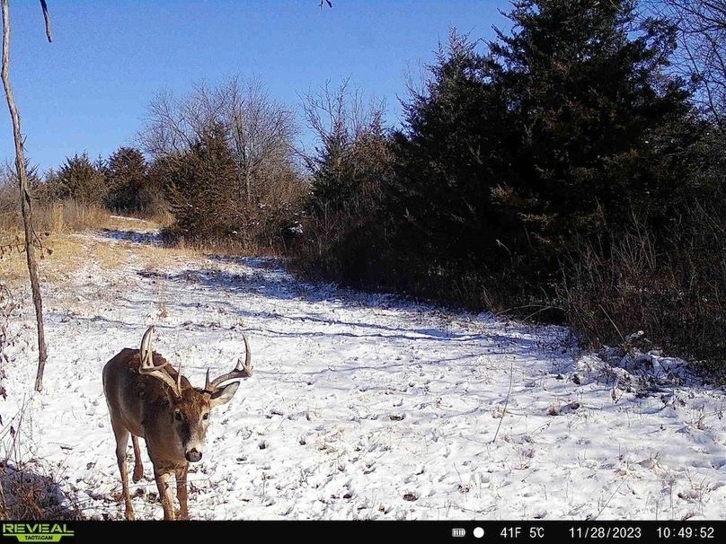 864049058900749-70-2-11282023105446-HD-SYFW4116