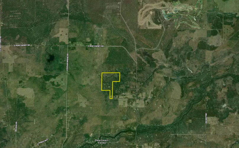 Screen Shot 2023-11-16 at 12.51.19 PM