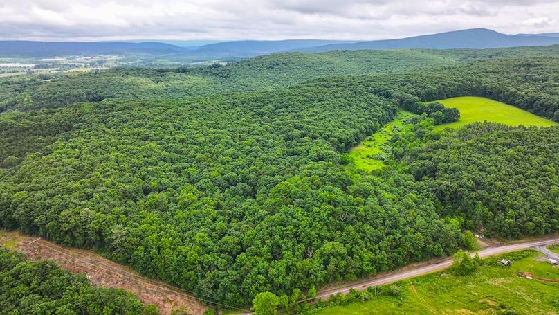 Bedford,121,Beegle-55