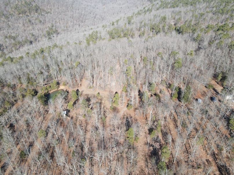 DJI_0041