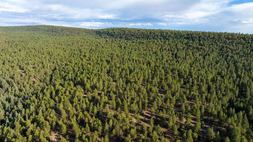 Cibola NM 13,053-0458