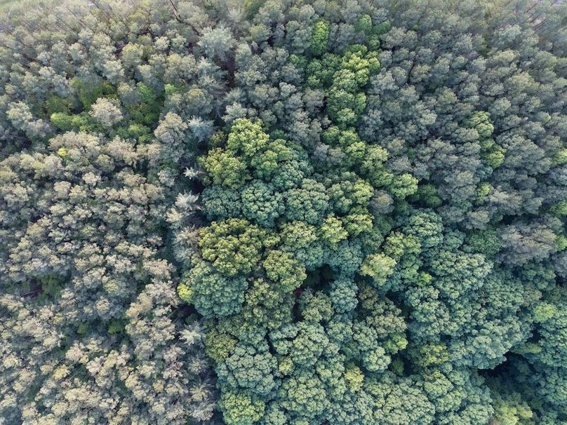 DJI_0547