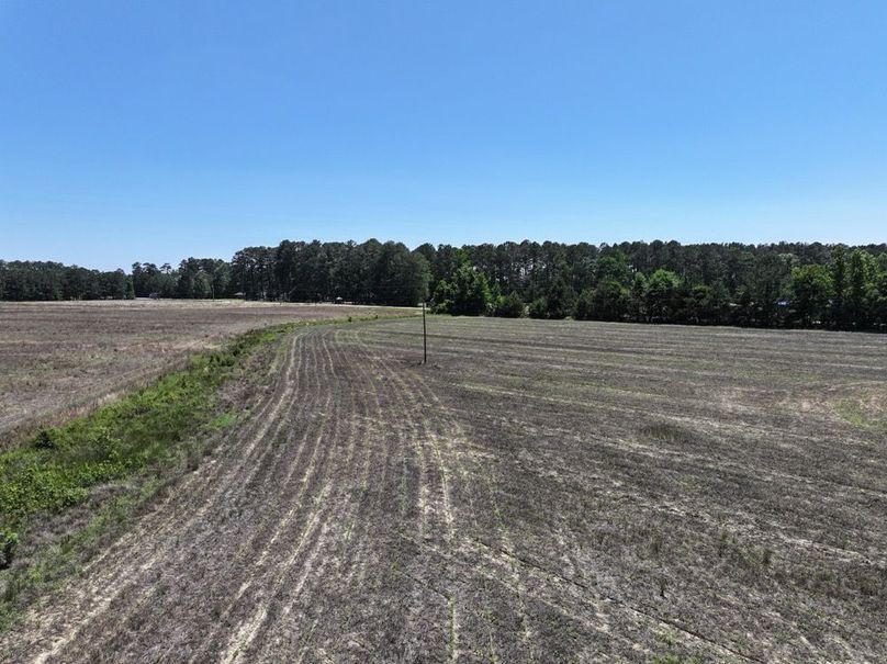Copy of DJI_20260602143224_0087_D