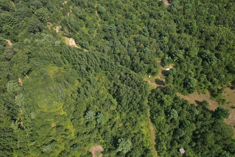 dji_fly_20250805_150446_204_1754424631118_photo