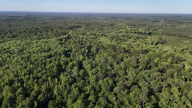 Copy of DJI_20250531212431_0571_D