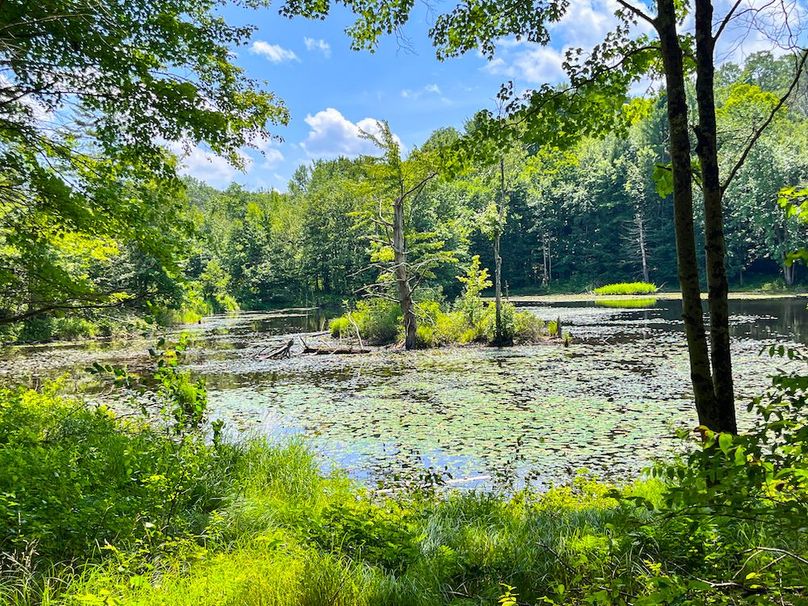 Oswego_20_Eck Photo 30