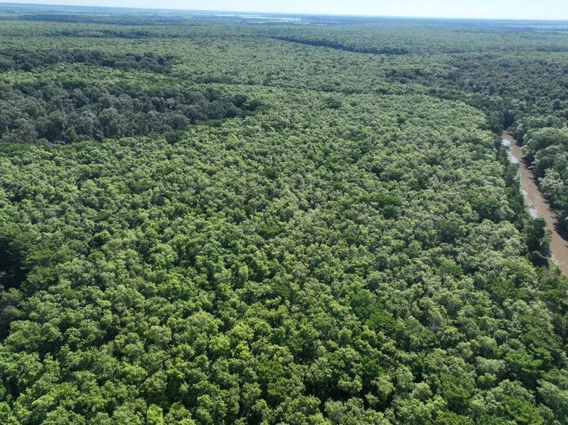 dji_fly_20260513_101940_434_1778687601684_photo