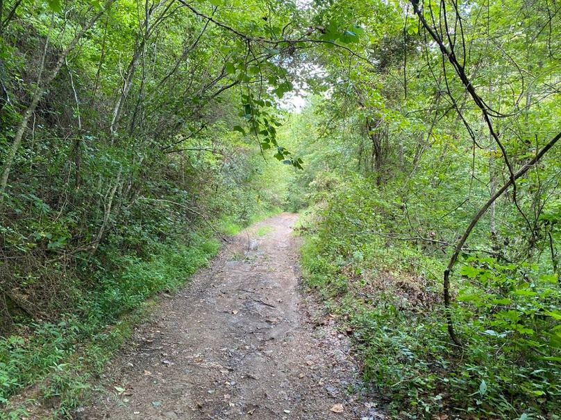 009 the access road leading in along the river