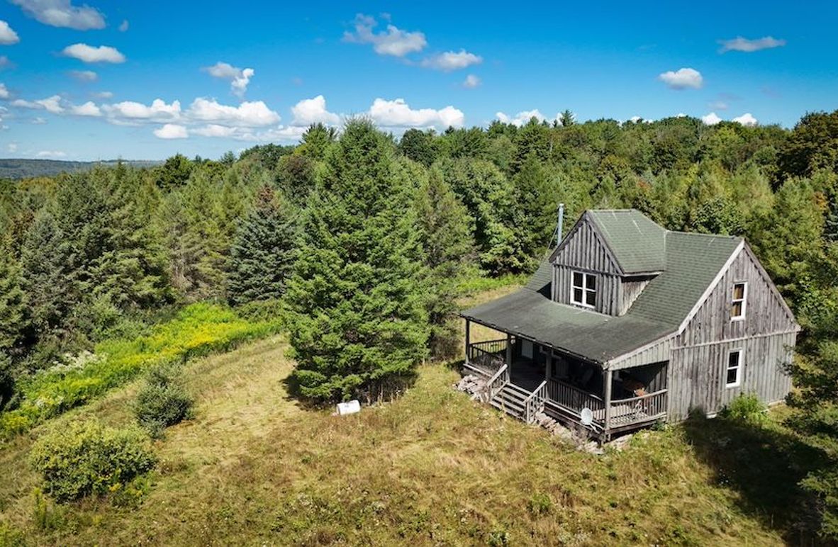 Tioga NY 232.62 Shores Photos 1