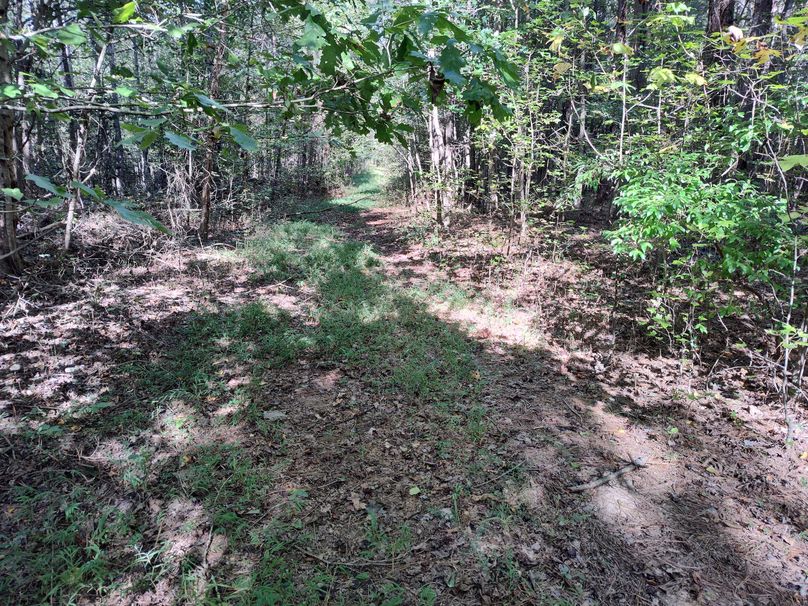 IMG_20231009_151752955_HDR