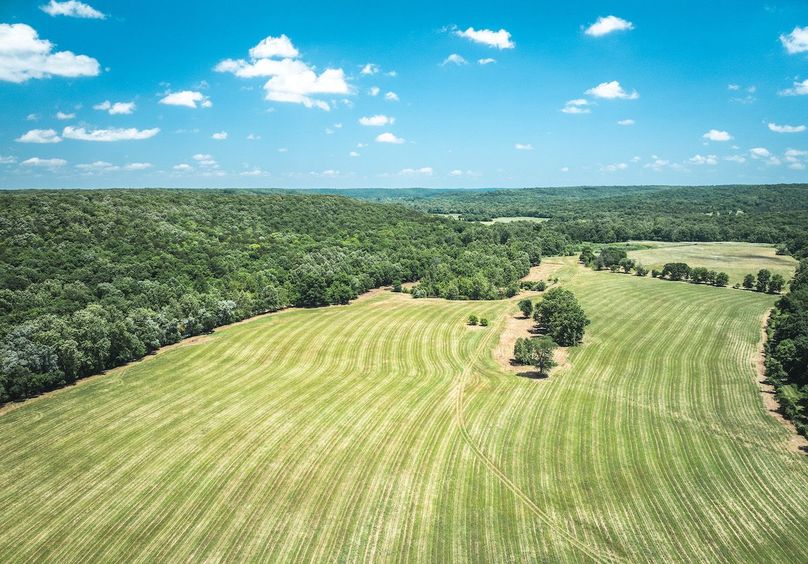 DJI_20250621134511_0661_D