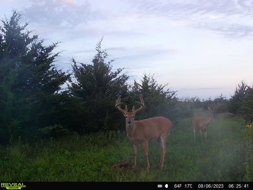 C328FF87-A773-44BB-8F6A-A9DE9D7B9D90