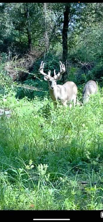 att.18oJUweNsWHbAaeM3gAheChWtHMe_gljRbA2W6F8Vuo