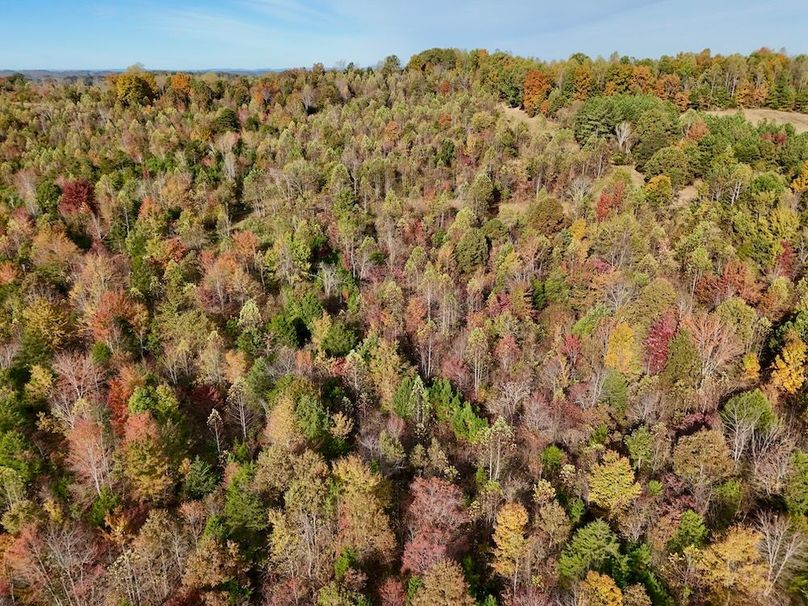 DJI_20251024101609_0025_D