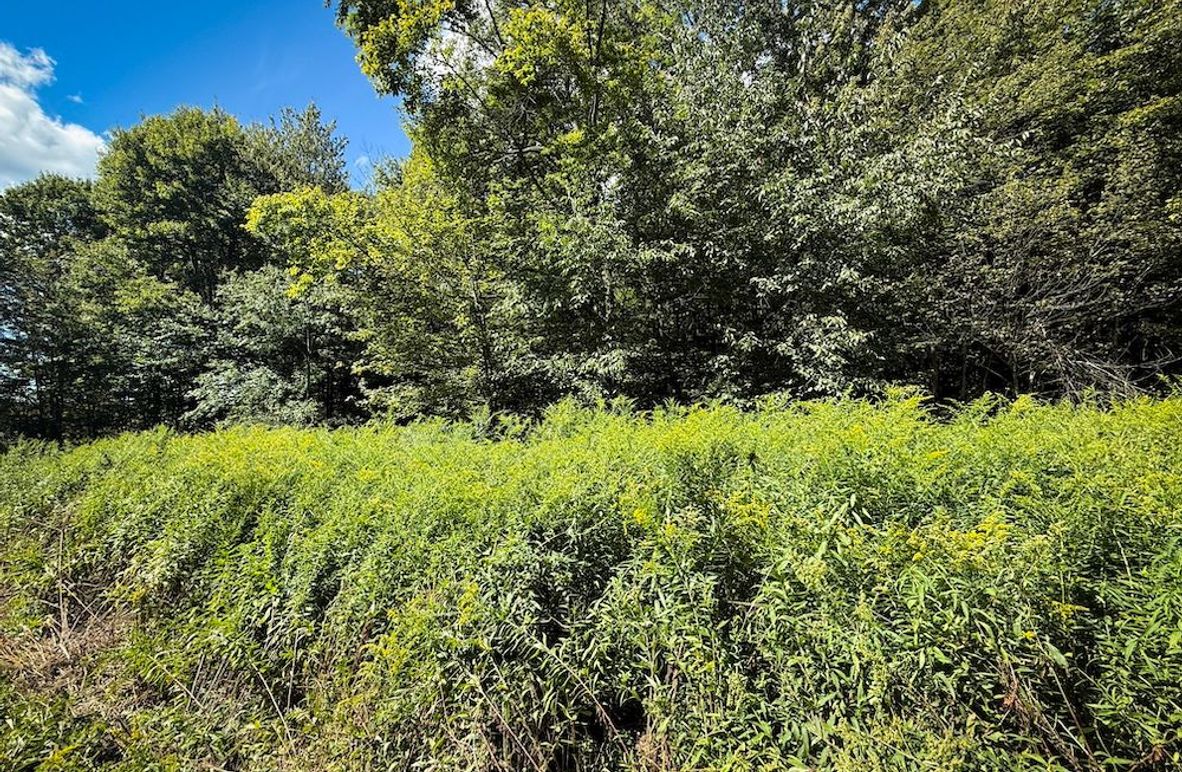 Tioga NY 64 Shores 4