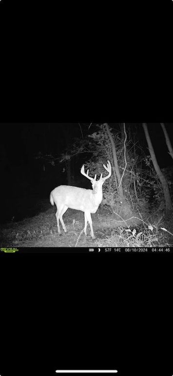 Screenshot 2026-01-09 at 12.39.36 PM