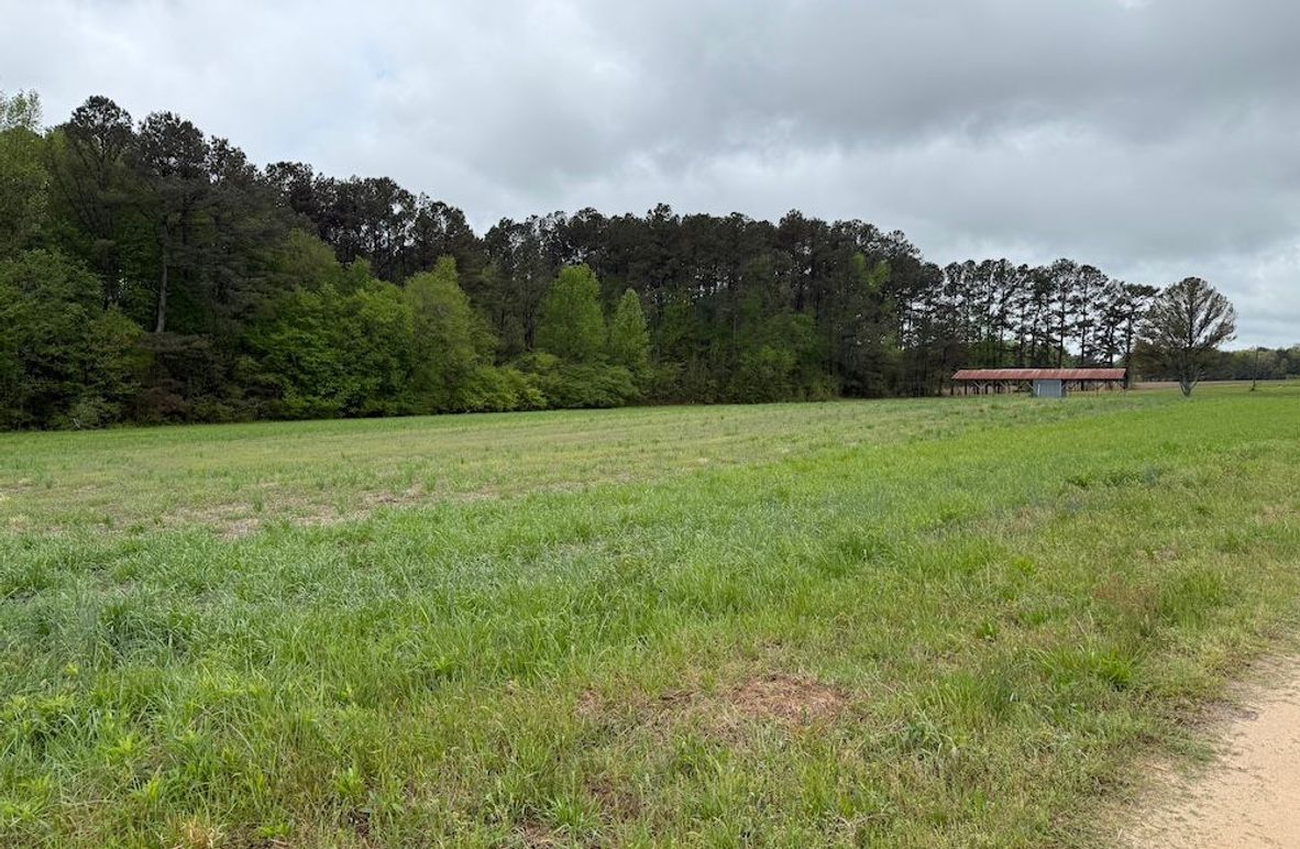 Copy of Copy of IMG_5649