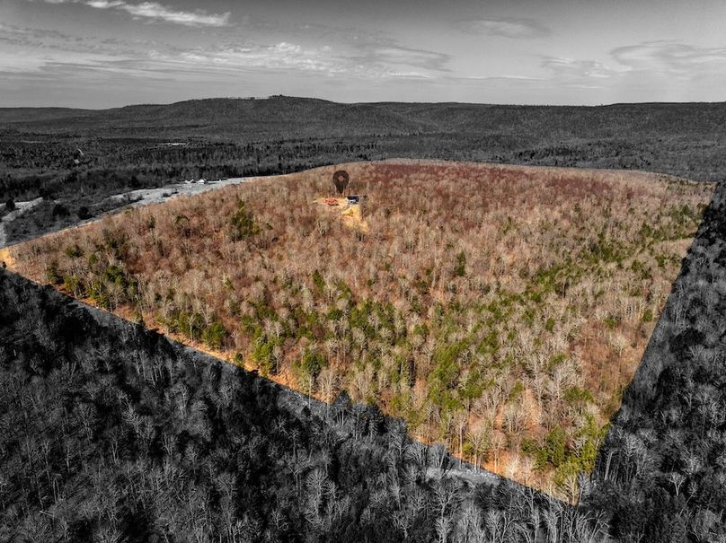 67-web-or-mls-IMG-67