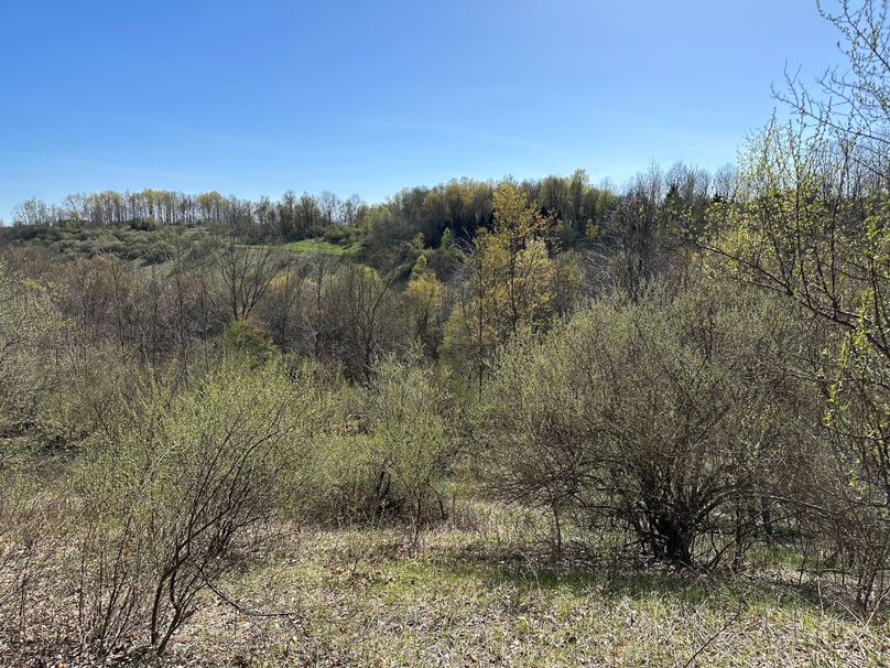 6BF0065D-CE93-4EF9-BFF5-9AC9AA390CBC