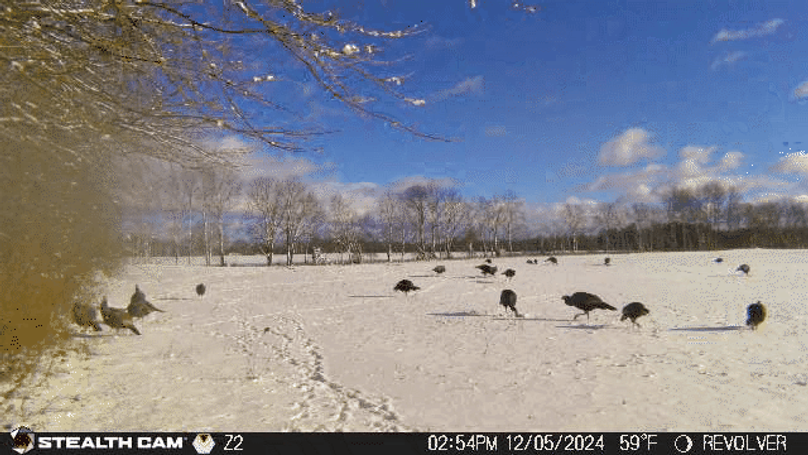 24120514540801001611