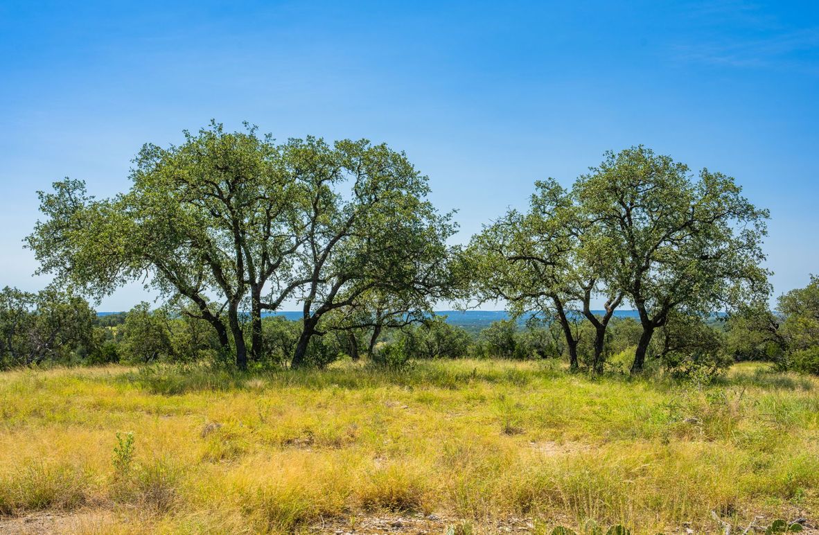 7-web-or-mls-DSC08140