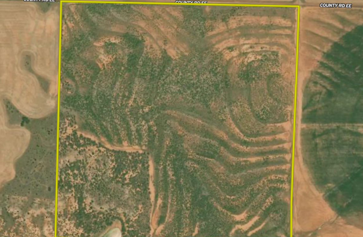 Screen Shot 2024-04-11 at 8.32.21 AM