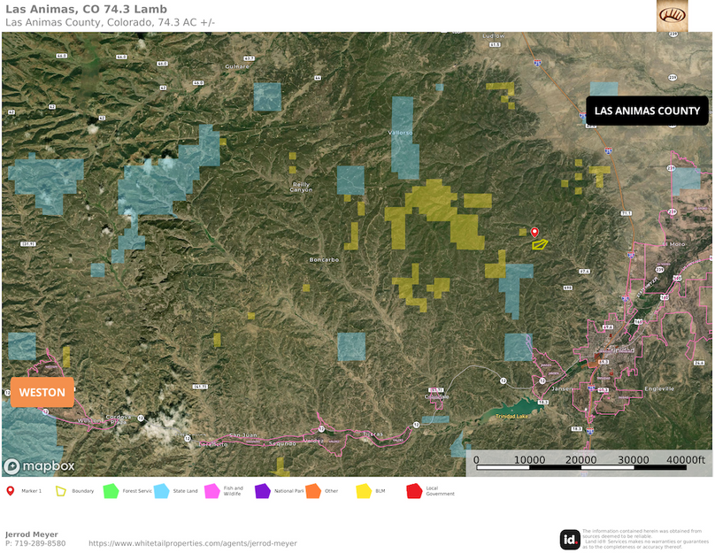 Las Animas, Co 74.3 Lamb Wide Image