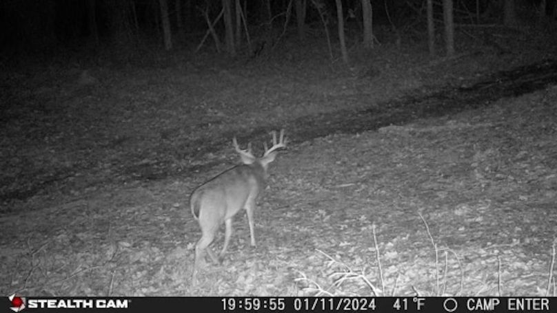 24011119595401001296