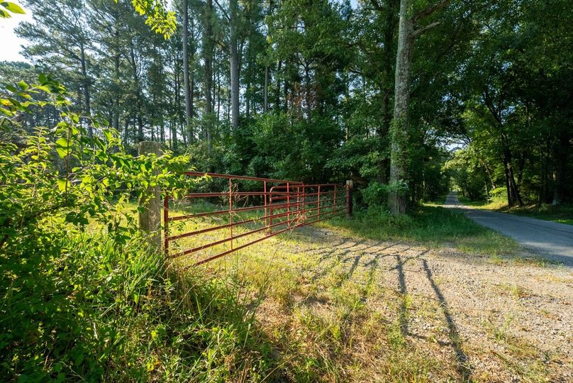 Copy of DSC06278 Large