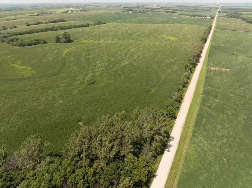 Copy of DJI_20250720141036_0109_D