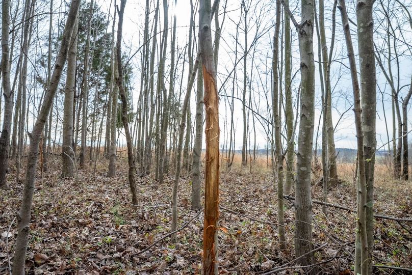 Copy of DSC00754 Large