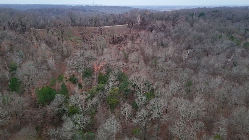 Yazoo Co - 75 - Batton-35