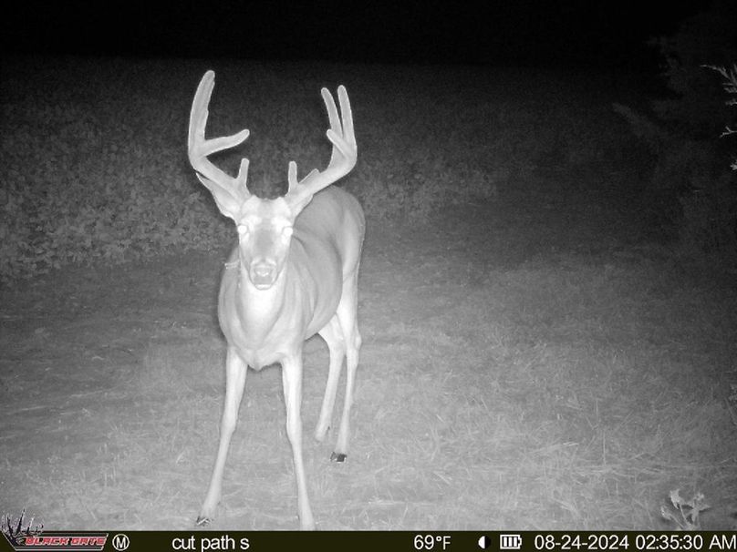 blackgate-media_47445060661325